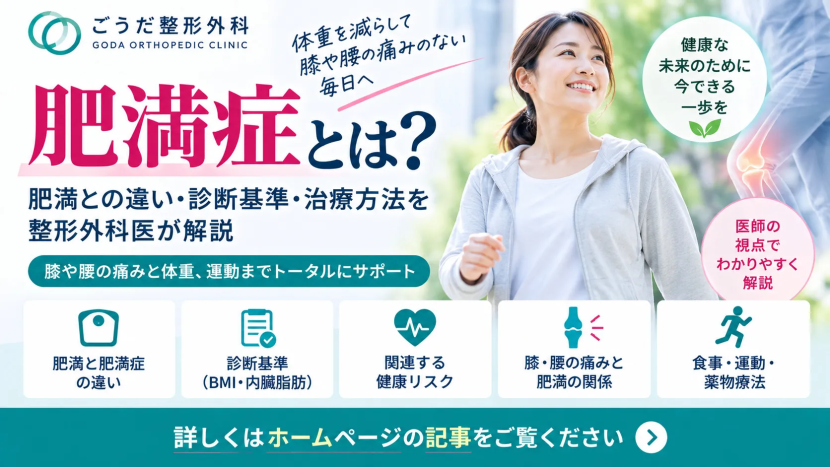 肥満症とは？
