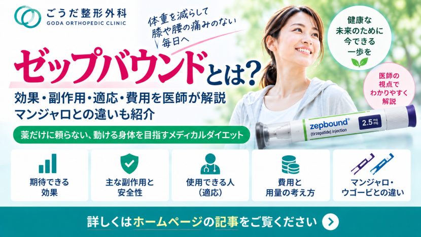 ゼップバウンドとは？