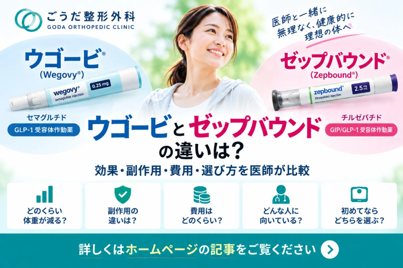 ウゴービとゼップバウンドの違いは？効果・副作用・費用・選び方を医師が比較