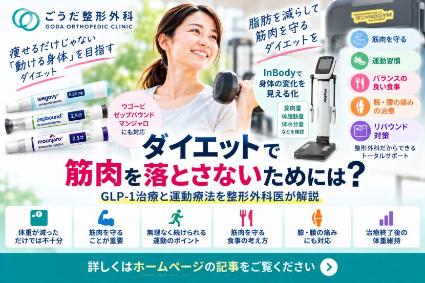 ダイエットで筋肉を落とさないためには？GLP-1治療と運動療法を整形外科医が解説